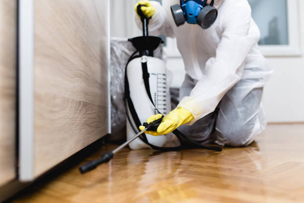 Best Rat Extermination Near Me  in Morningside, MD