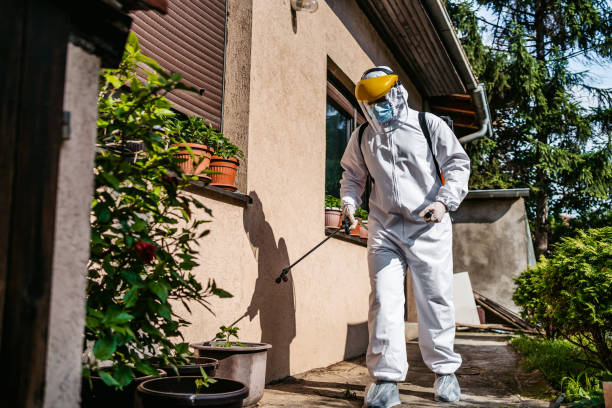 Best Emergency Pest Control  in Morningside, MD